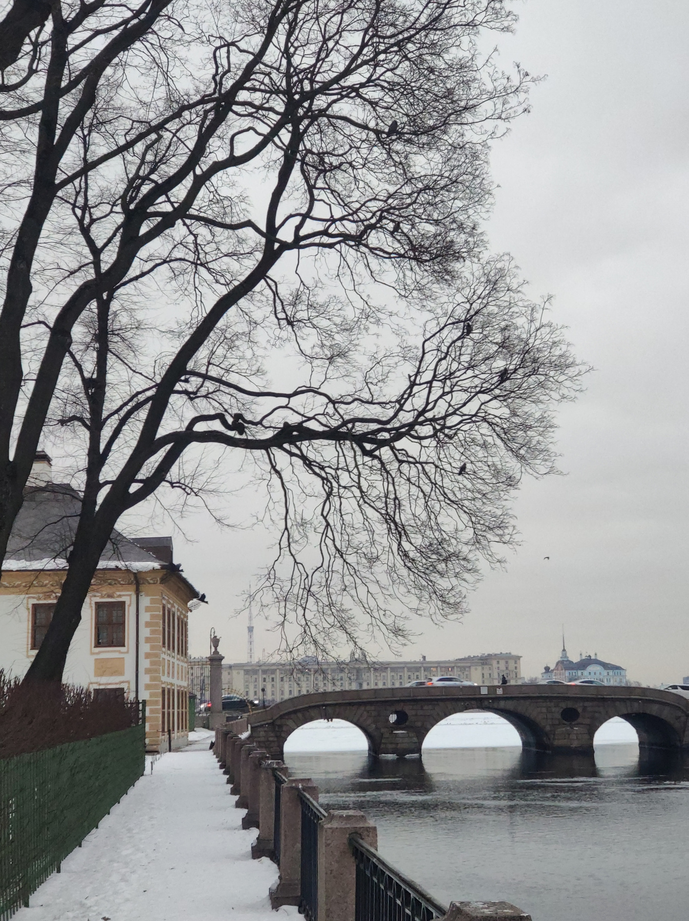 *** Петербург Летний зима