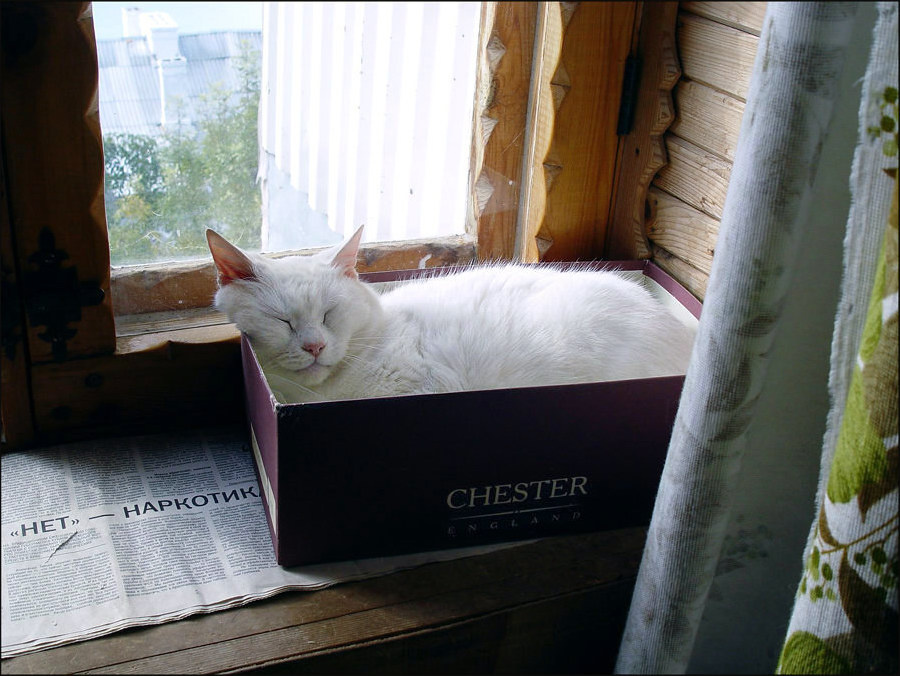вразуми нет,наркотик