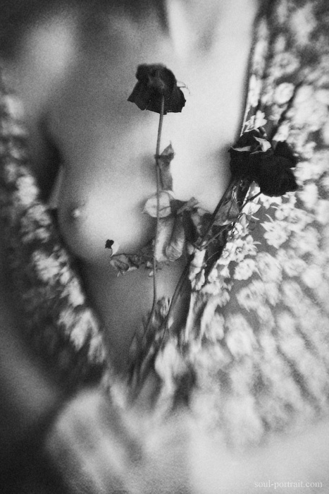 black roses 