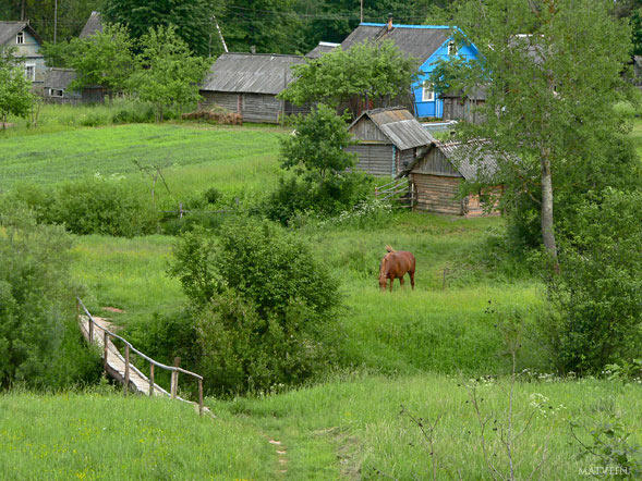 Глубинка деревня лошади изба лето