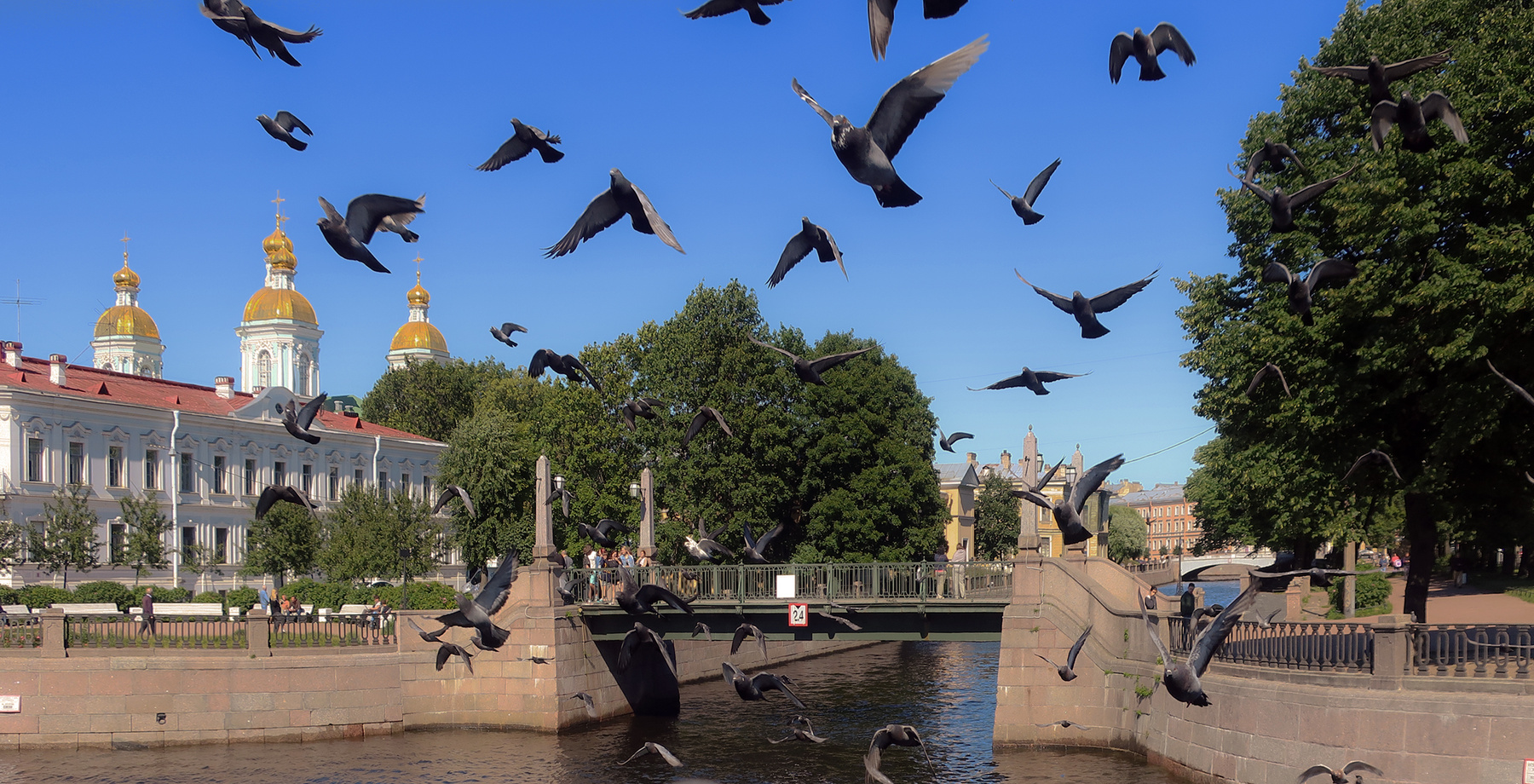 "Сказание о Петербурге" фотография путешествие Санкт-Петербург город лето каналы птицы Фото.Сайт Photo.Sight Светлана Мамакина Lihgra Adventure