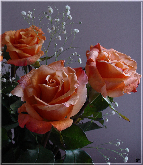To all ladies - March 8th greetings! С днем 8 Марта, дорогие женщины!