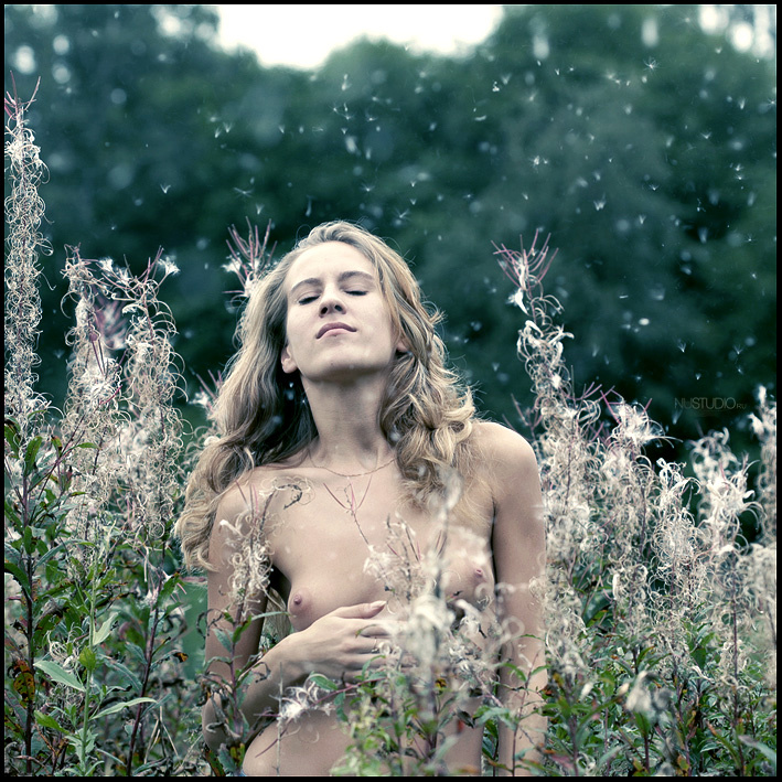 *В* www.nustudio.ru