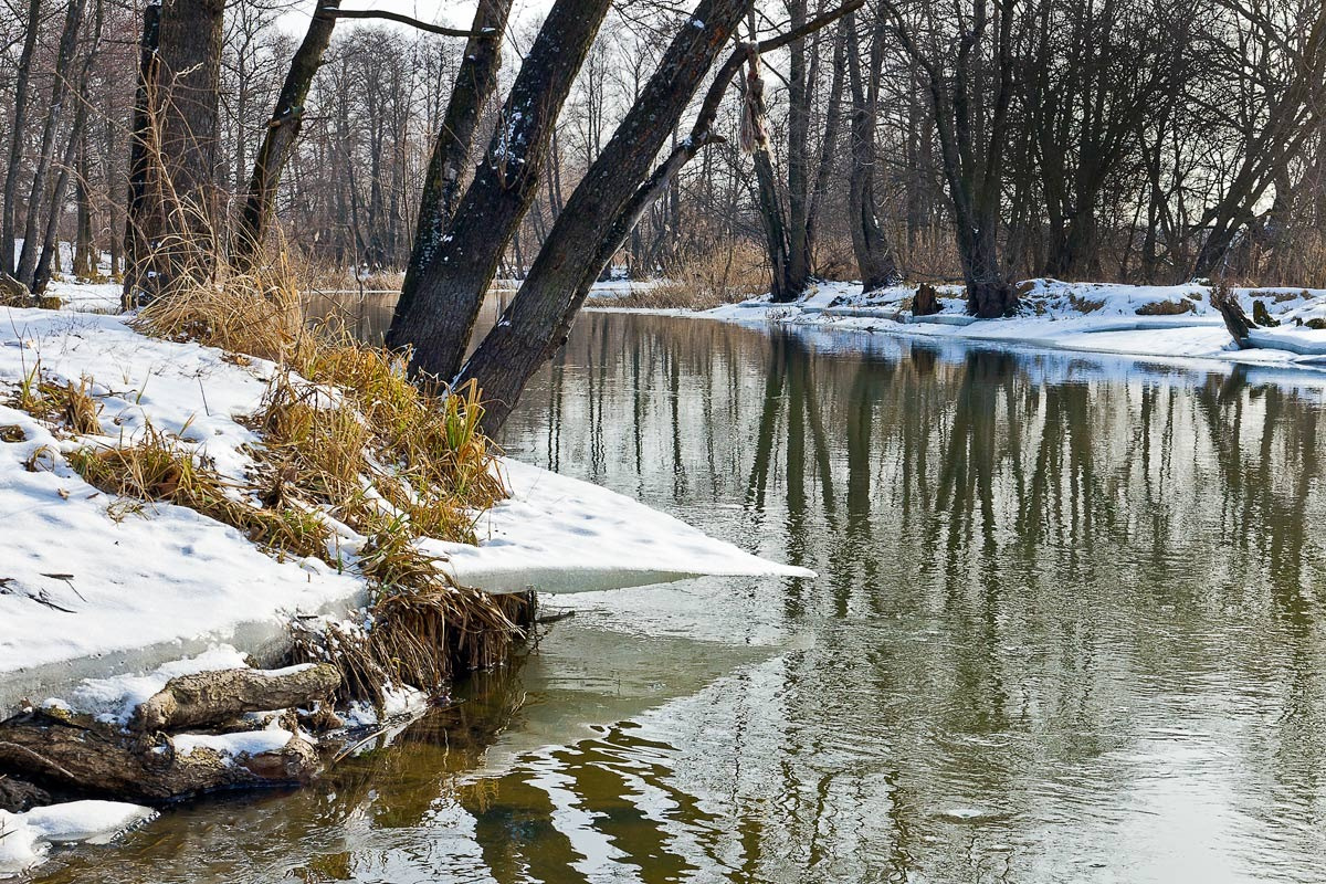 Весне - дорогу! Февраль, река, отражение в воде