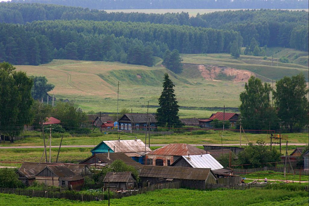 Вид на бор Деревня