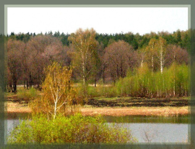 весенняя палитра (мазки кистью) весна, лес, палитра красок