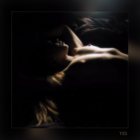 sweet night dream 