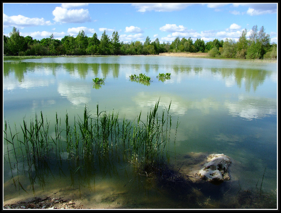 *** LATGALE