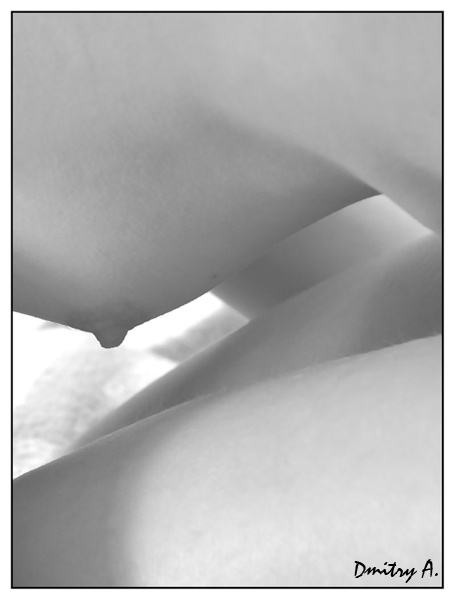 body 