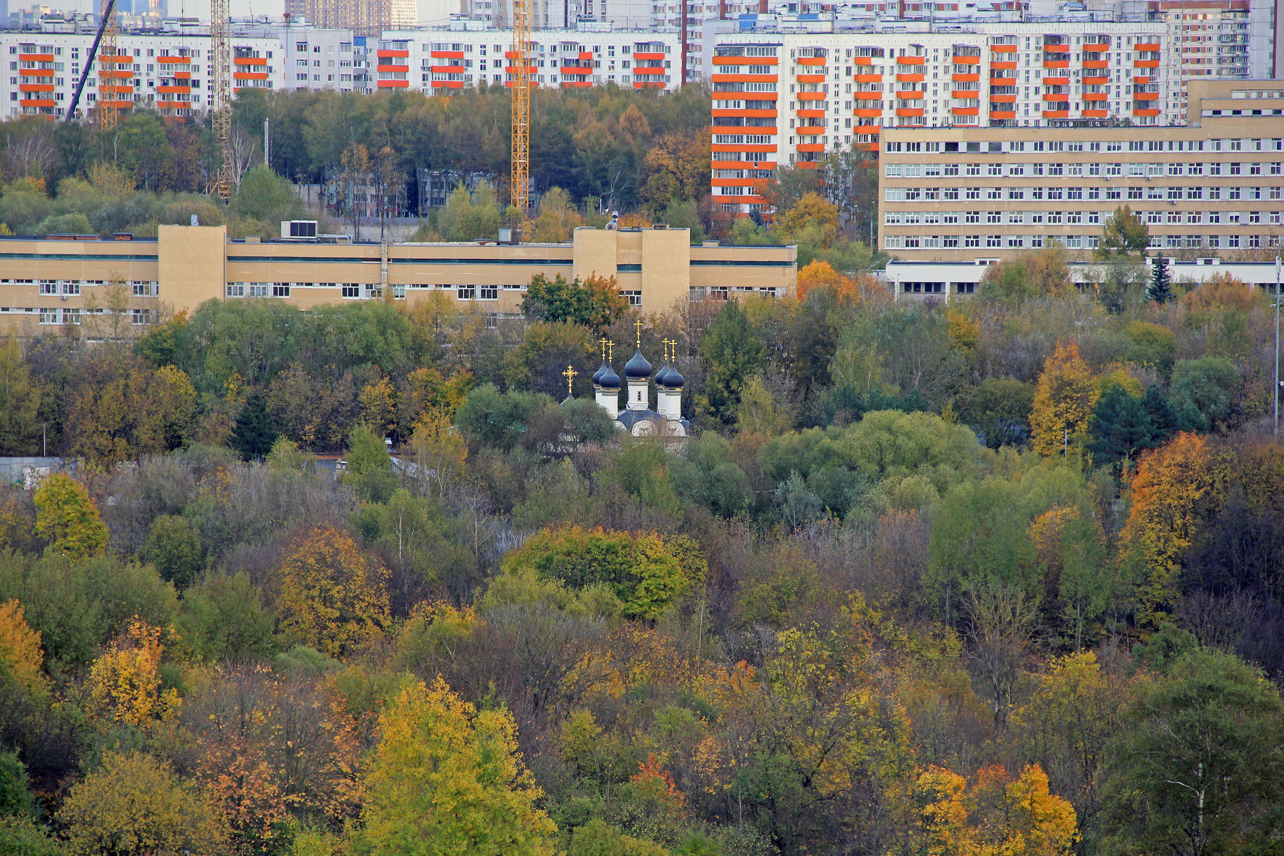 Москва. Тушино. Братцево. Храм Покрова. Осень.  17.10.2024 Москва Осень Город