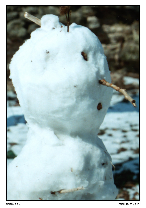 SnowBoy Снеговик