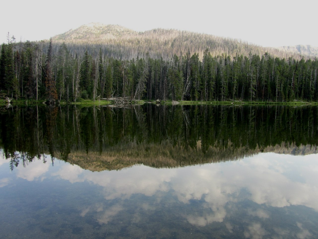 Sylvan Lake 