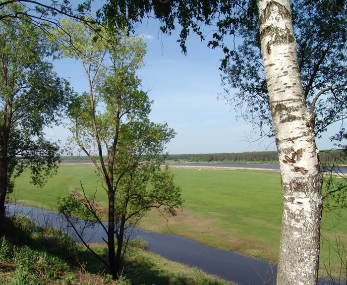 Ветлуга 