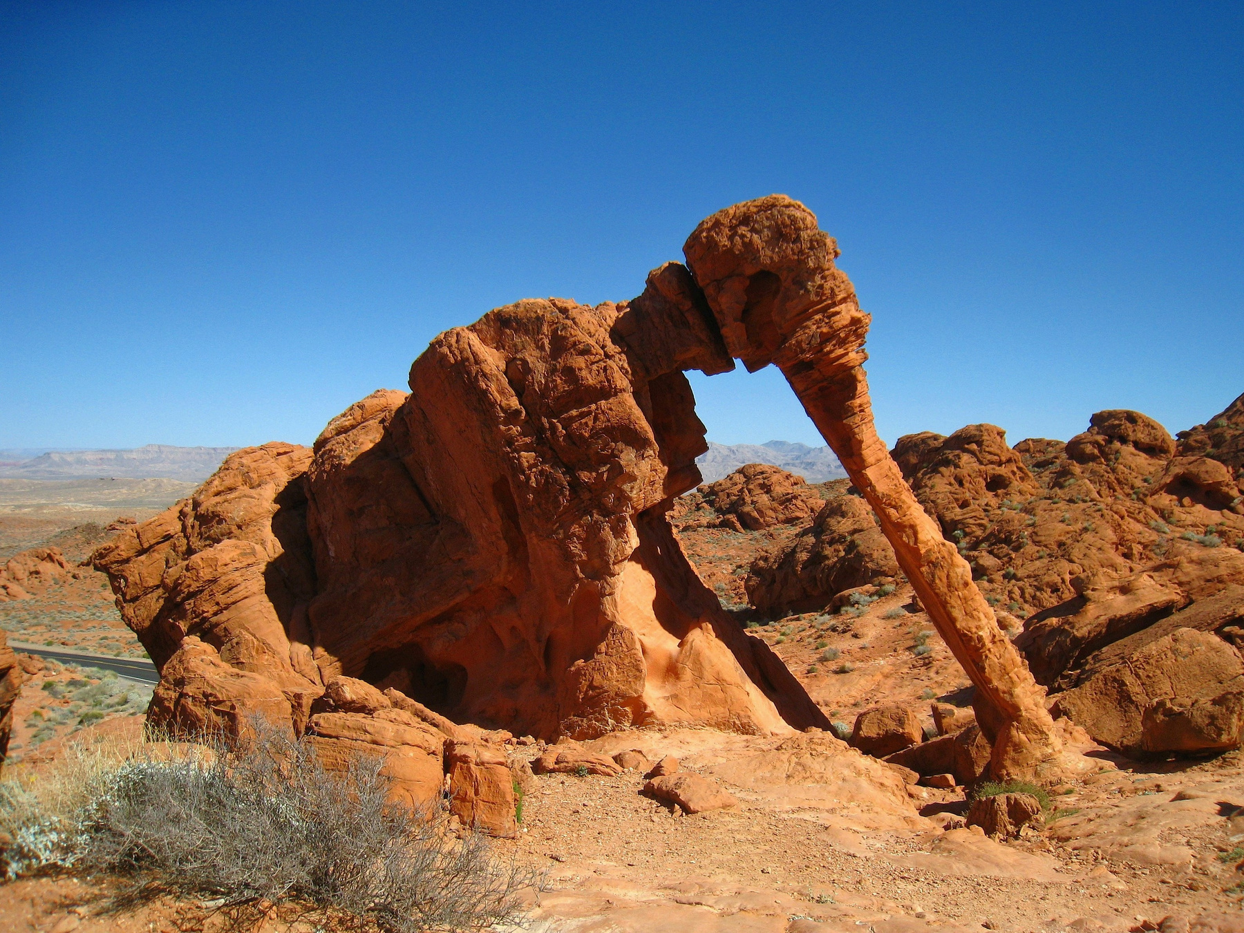 Слоновья скала (Elephant Rock). Америка пейзаж скалы дюны песок природа