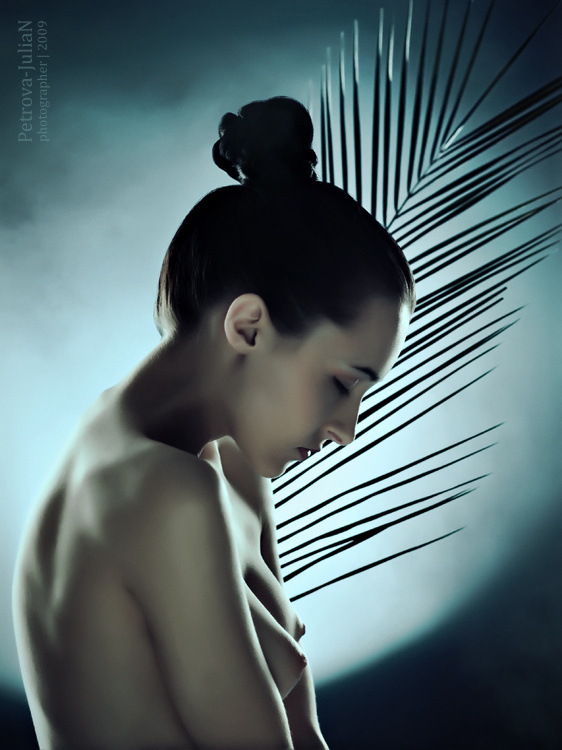 Night dreams 
