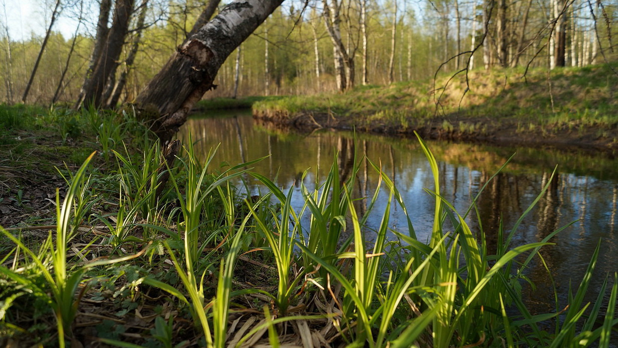 Майским вечером Весна. Река. Закат