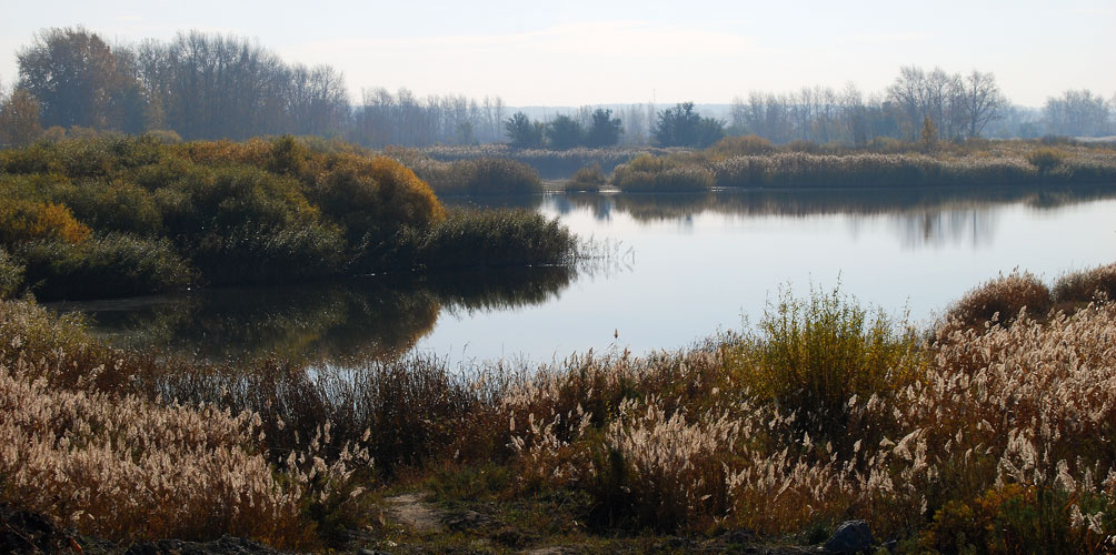 Спокойная осень река утро