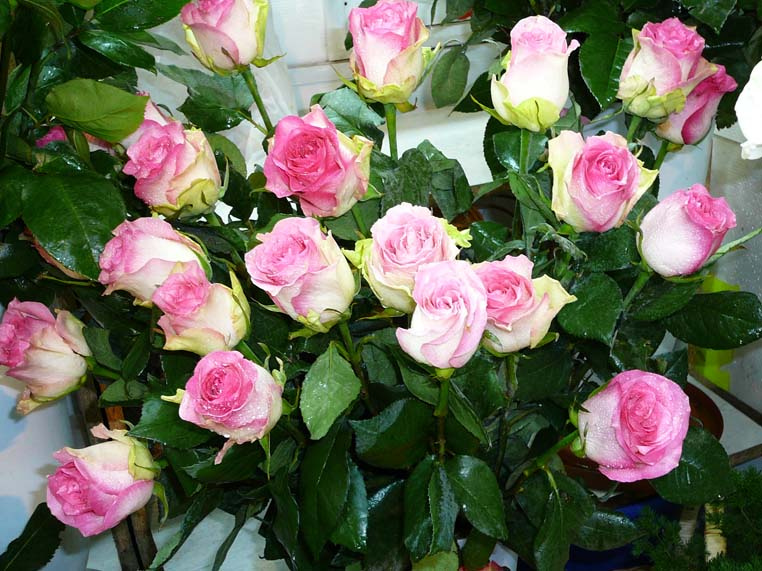 К женскому празднику. Восьмое, март, весна, праздник.