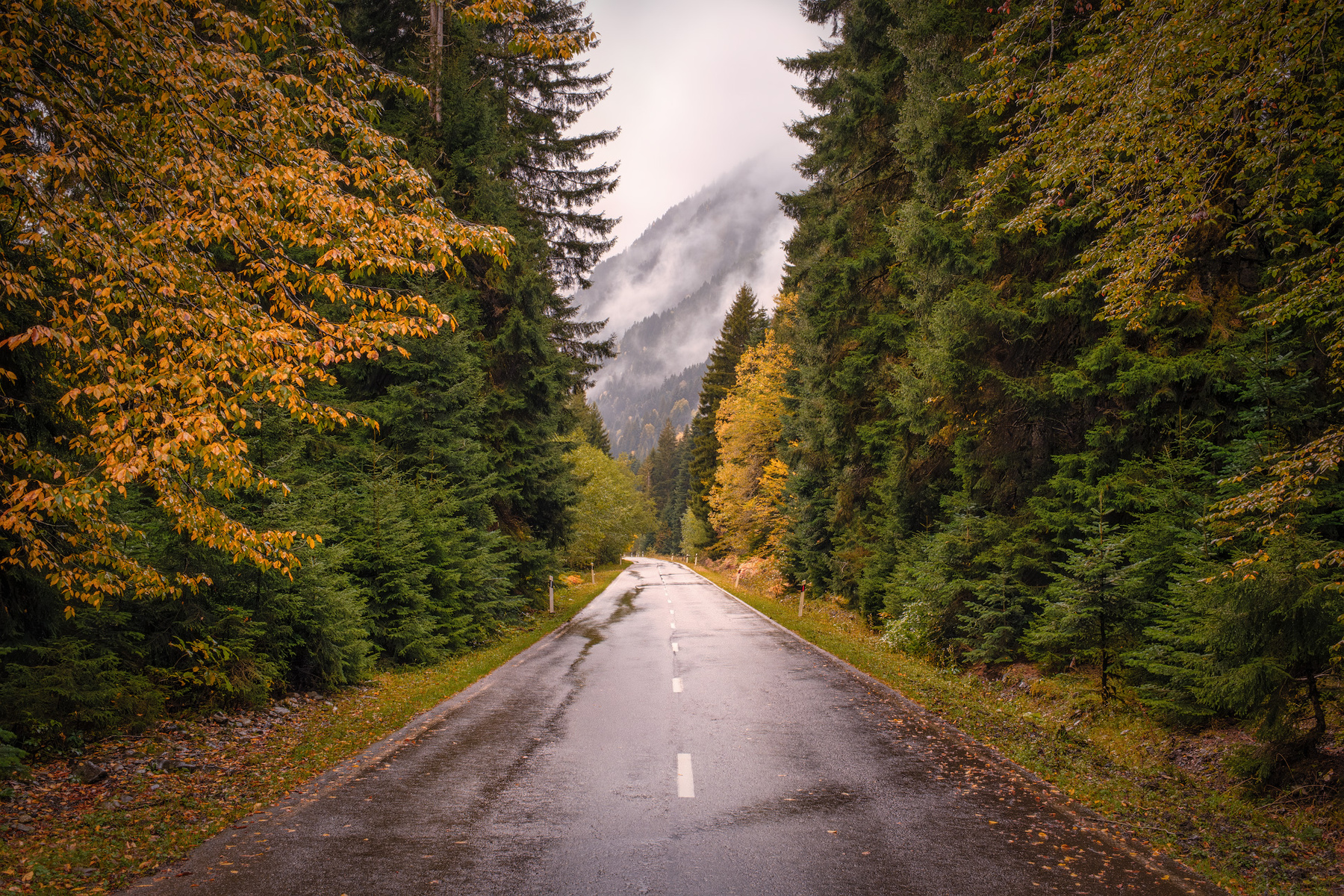 Yellow Toned Road racha fall autumn forest trees yellow mountains clouds sky nature landscape scenery travel outdoors georgia sakartvelo chizh