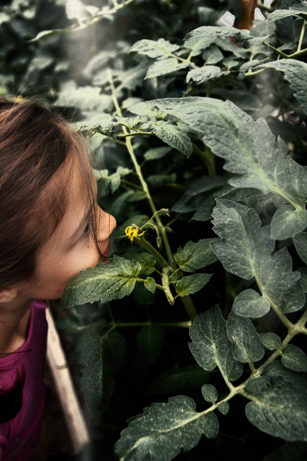 The abundance of smell 