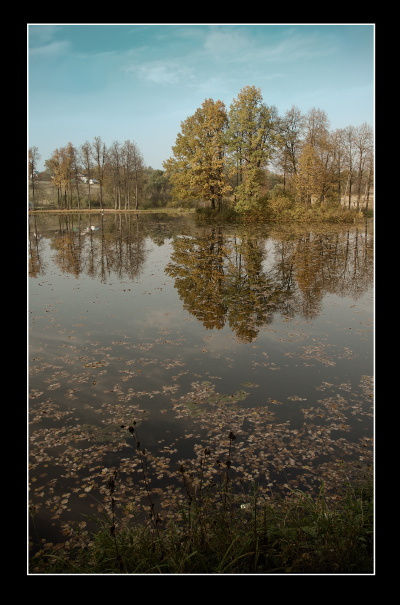 Осень в Середниково 