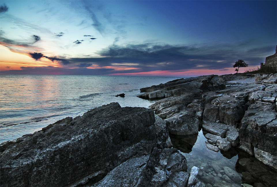 одинокое дерево дерево, закат, море, камни