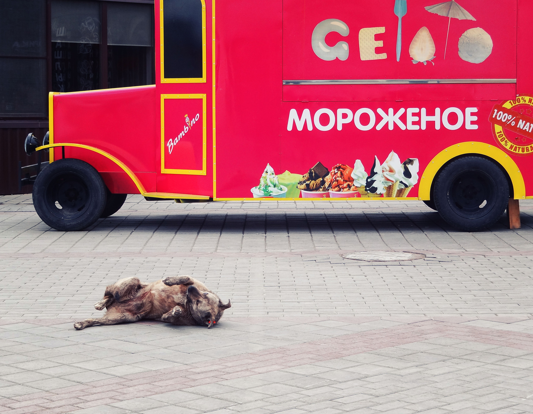 Кто-то слишком много ест... 