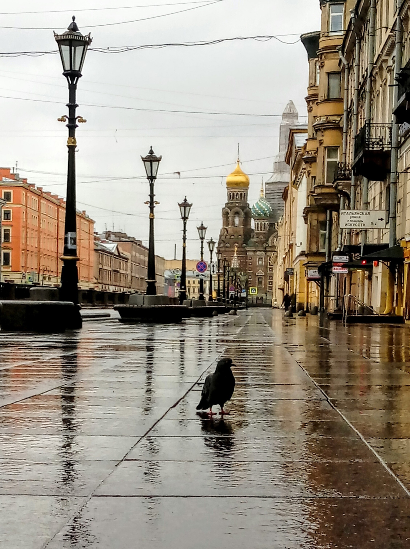 одинокий пешеход . апрель 2020 