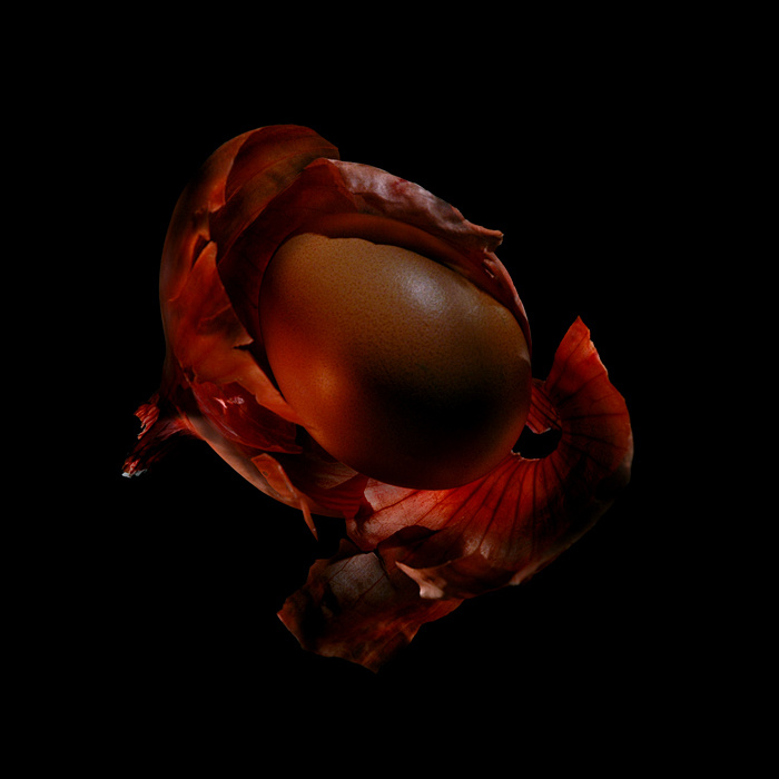 ::Egg:: яйцо лук светокисть