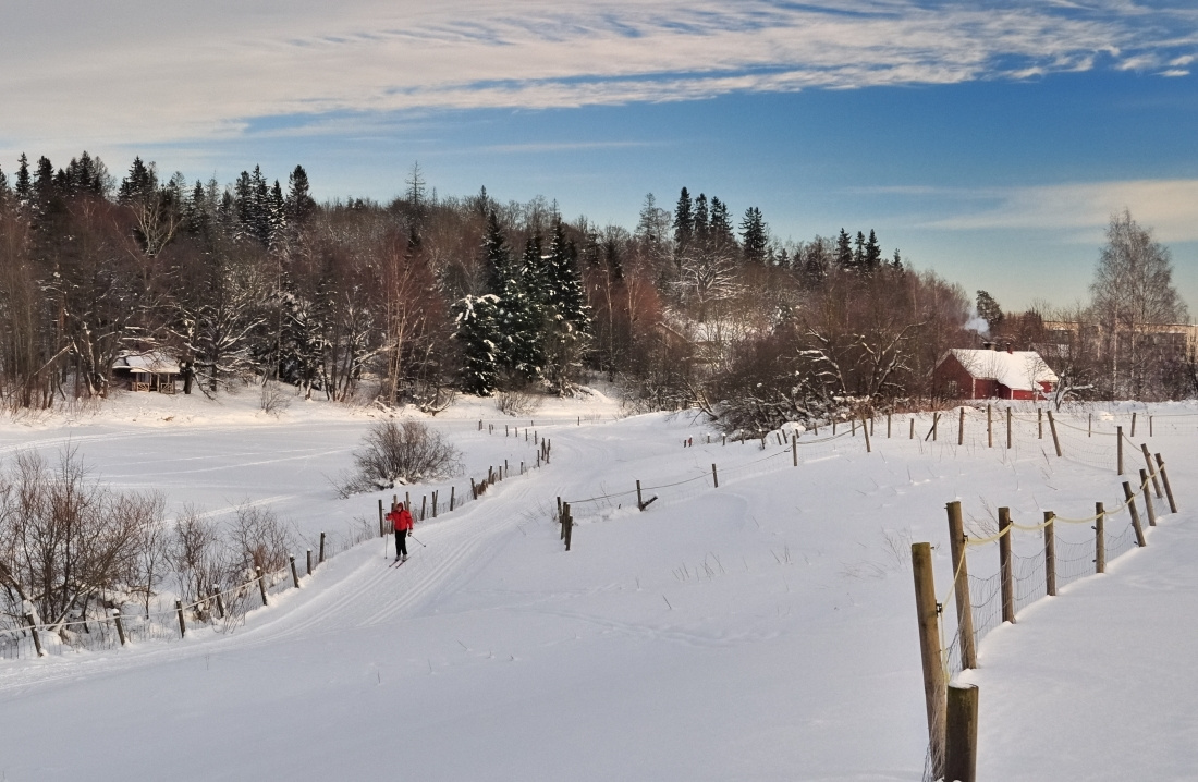 На лыжне лыжня река_Ванта зима Хельсинки river_Vantaa winter Helsinki
