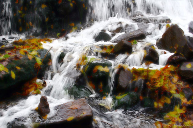 просто вода вода природа родник