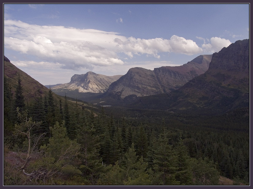 Три грации лес облака горы озеро Монтана Many Glacier area