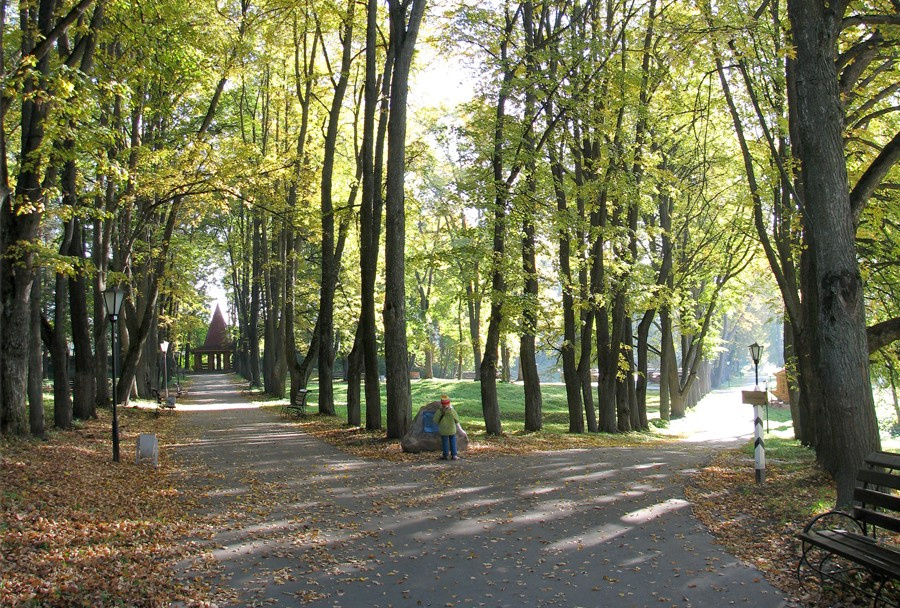 Осень в парке Руза, парк, осень