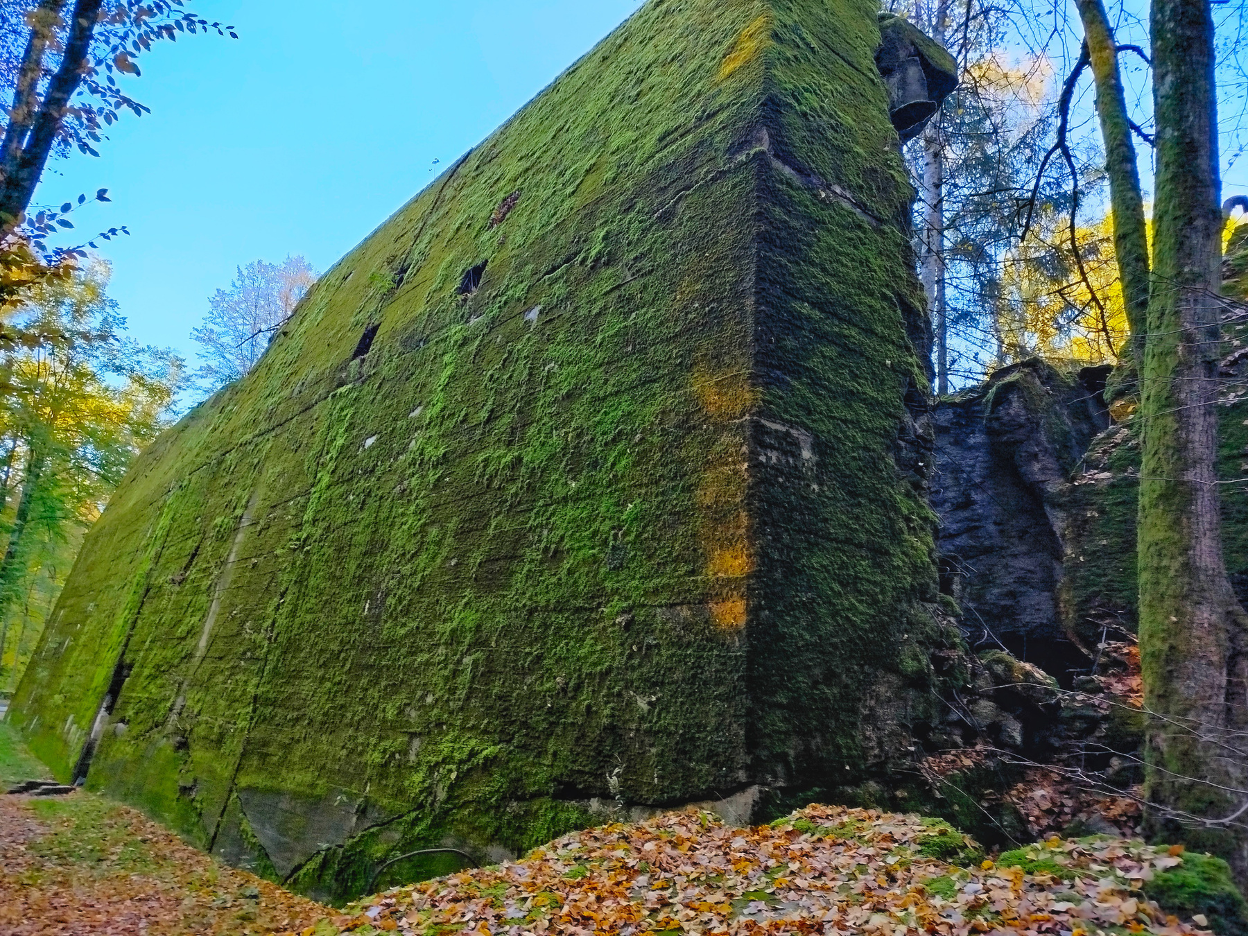 Ставка Гитлера Wolfsschanze Волчье логово Польша Wolfsschanze Гитлер
