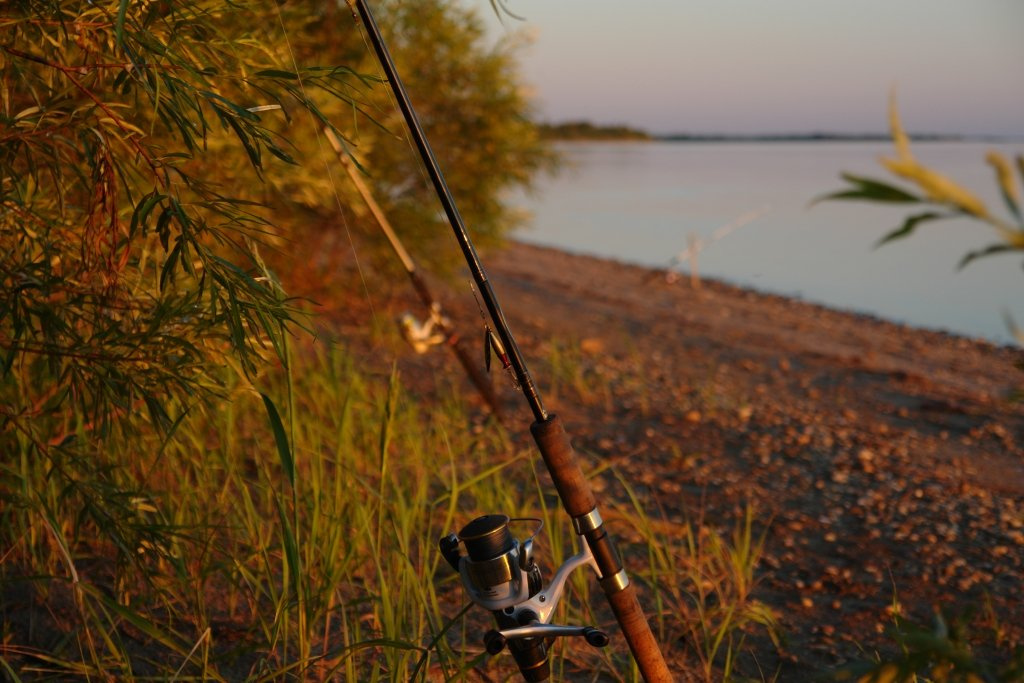 Забытые игрушки спининг, shimano, рыбалка, утро