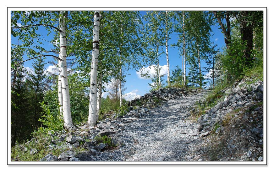 Русский пейзаж Береза, дорога, лето