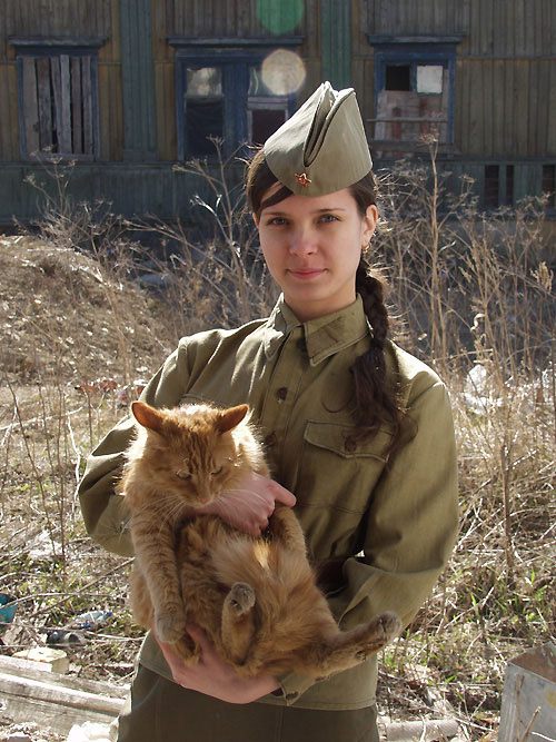 Рыжий кот Девушка война кот