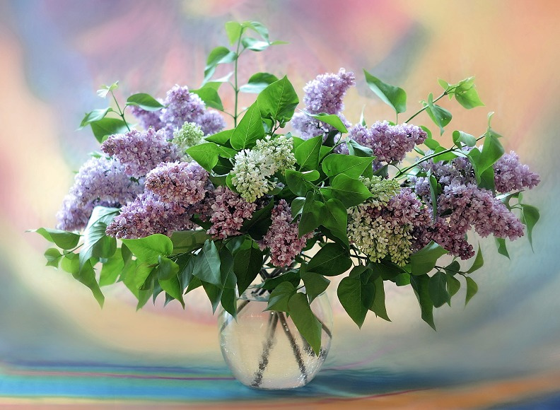 Майский букет 