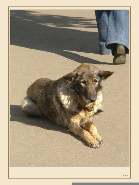 на дороге...... 