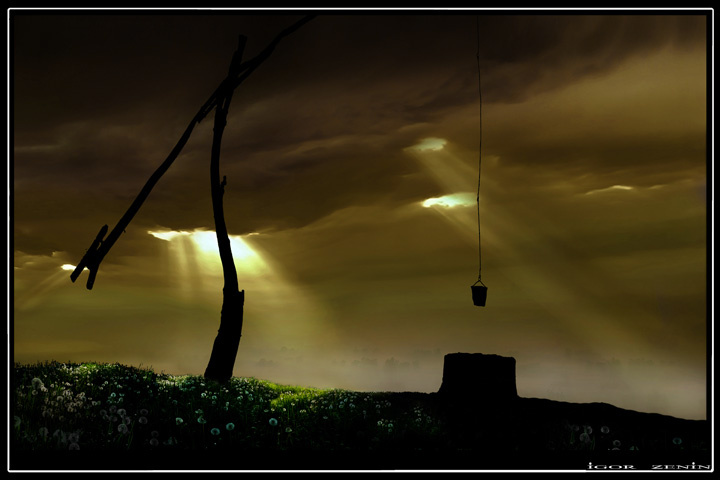 MAY-5 landscape