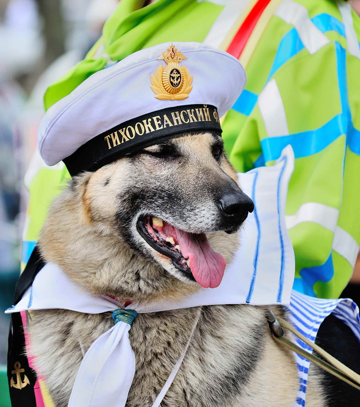 С праздником, братишки! 