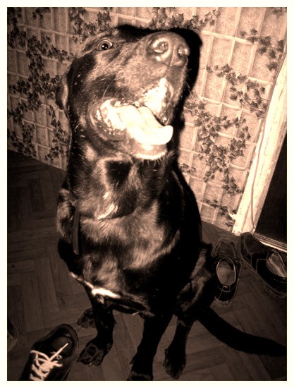 privet! 