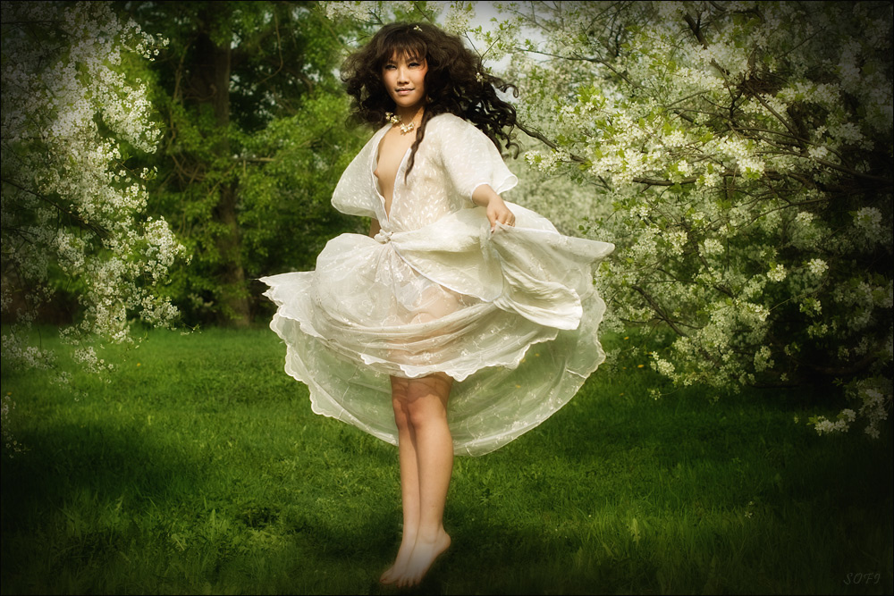 Fairy 