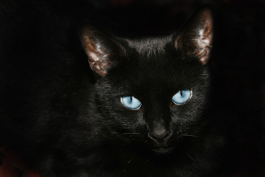 Behind blue eyes 
