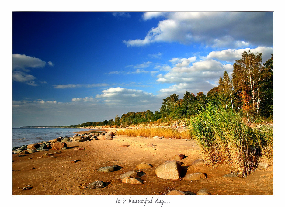 ~ It is beautiful Day ~ 