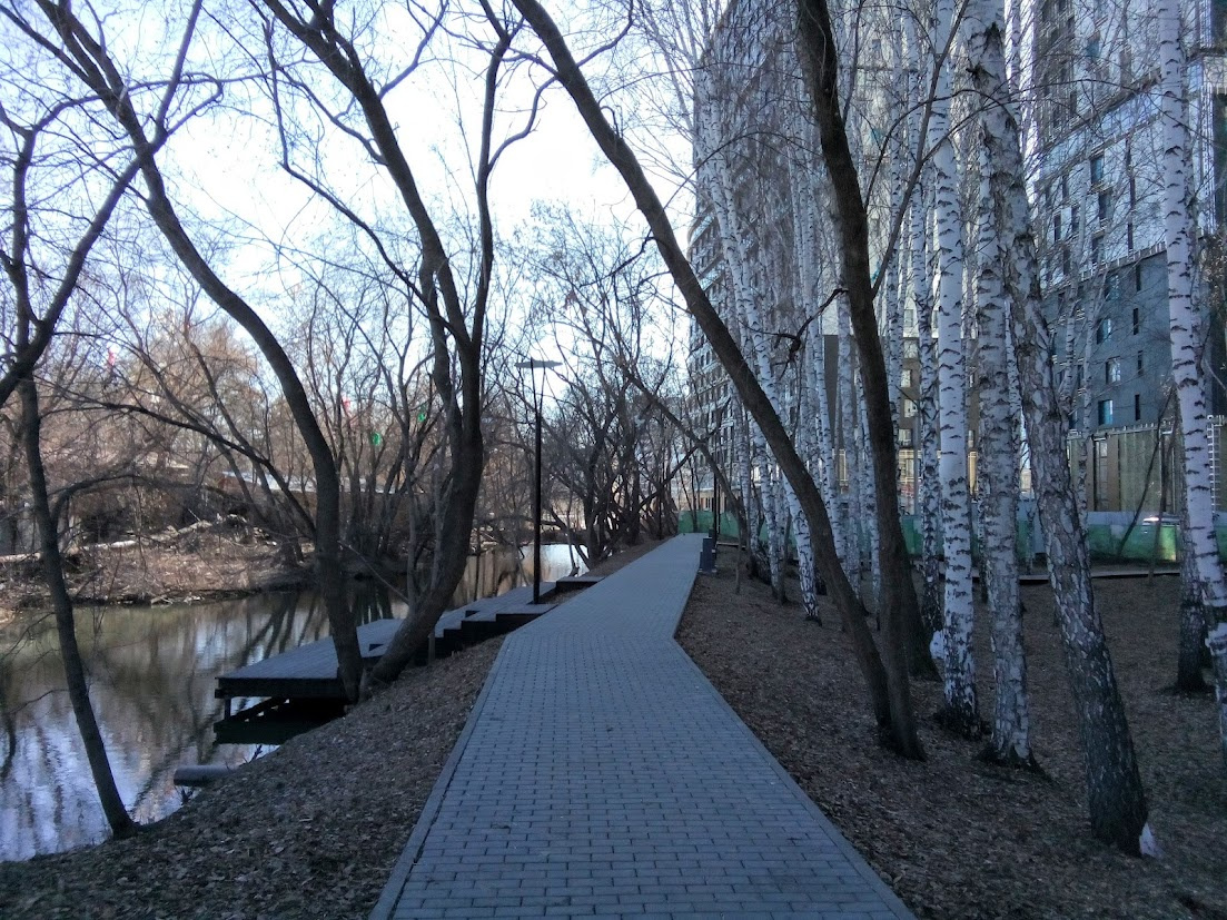 Берёзки 