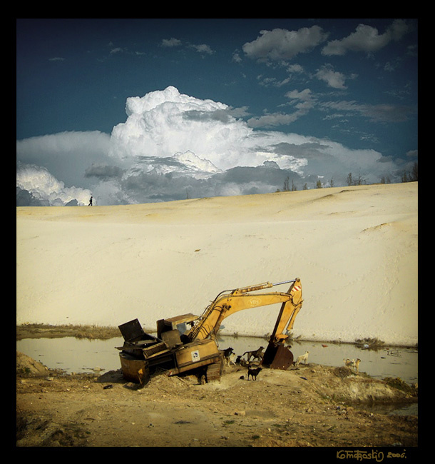 trash sands песок экскаватор собаки карьер
