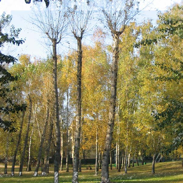 Три одиночества осень природа одиночество