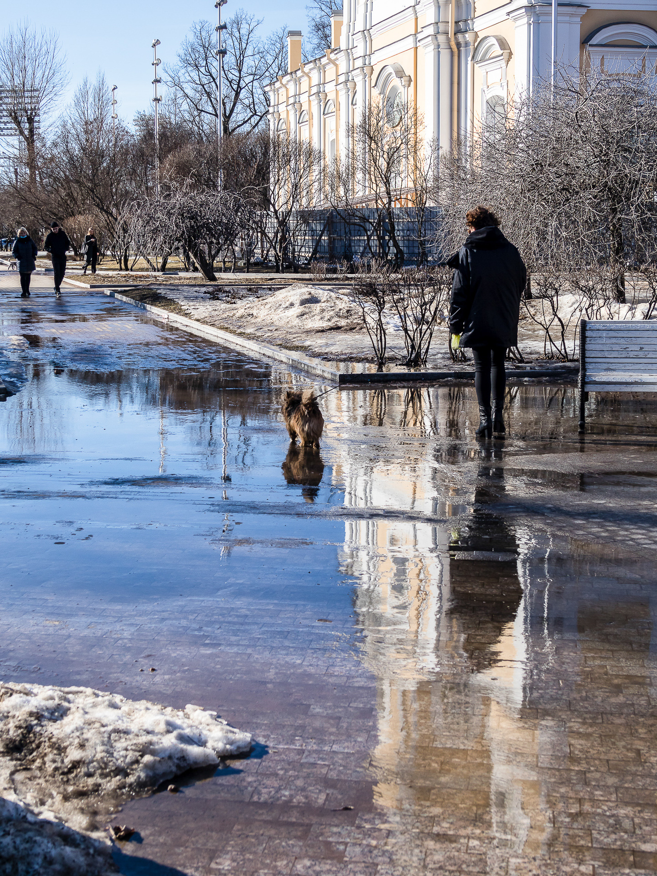 Прогулка с препятствиями 