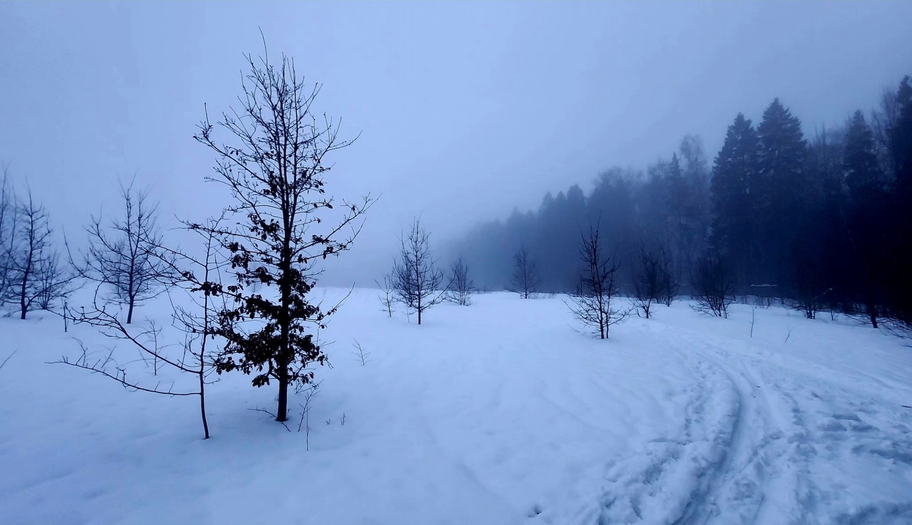 Поле 